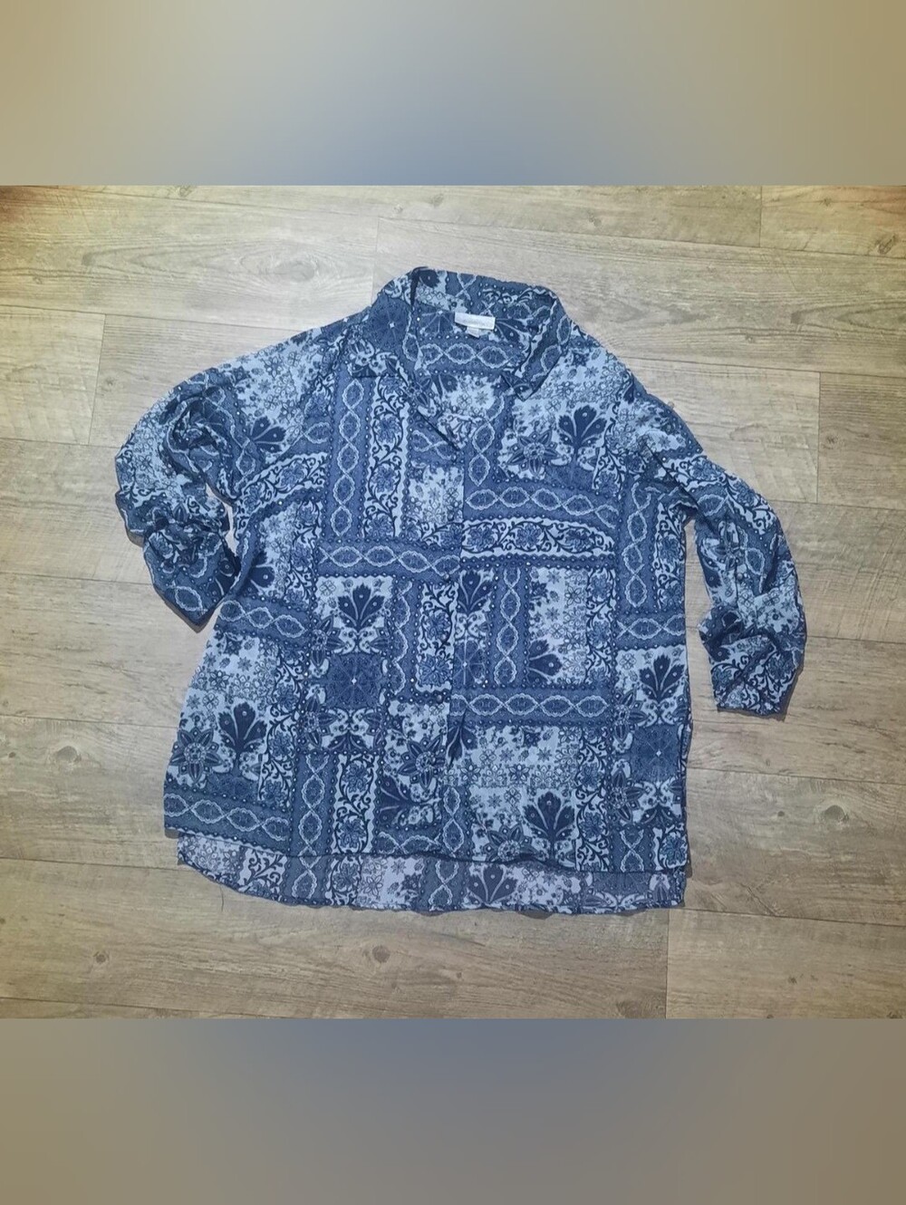 Dressbarn Sheer Y2k Blouse